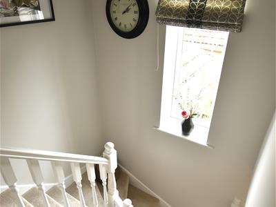 Picture 31